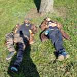 IMG-20250307-WA0335
